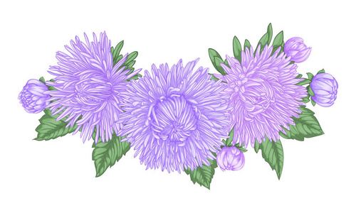 紫丁香鲜花
