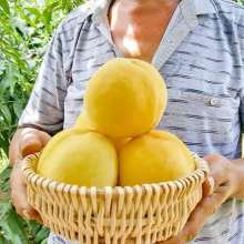 大量供应优质桃子价格 大量供应优质桃子公司 图片 视频